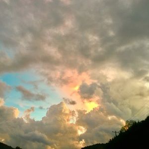 Meet your Posher, Eva